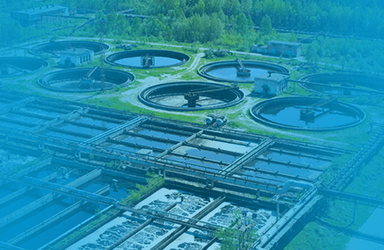 бактерии в очистных сооружениях