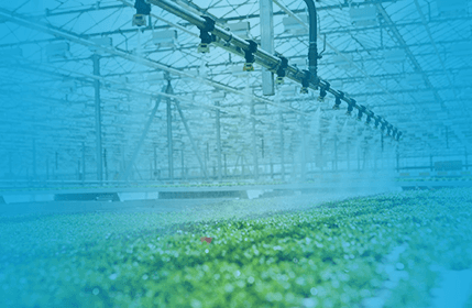 систем поливу в теплицях