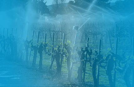 систем поливу на виноградниках