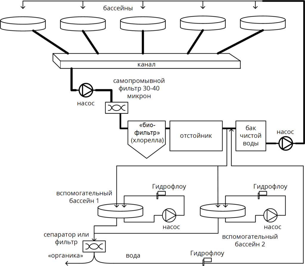 Удаление избытка хлореллы из УЗВ рыбных ферм. Обзор решений.