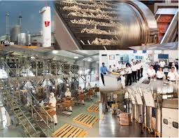 Защита от накипи паровых котлов фабрики компании Barcel (Мексика)