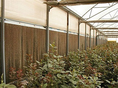 Защита от накипи систем точечного орошения